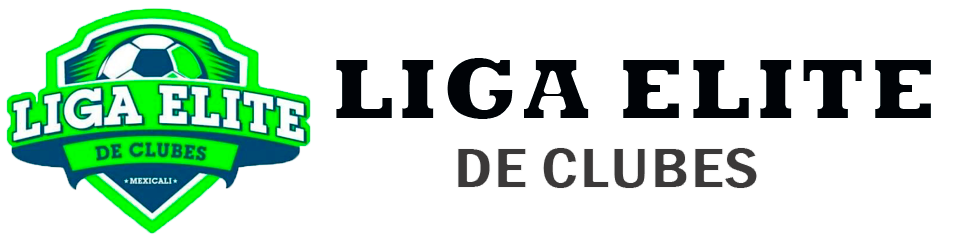 ligaelitedeclubes.com